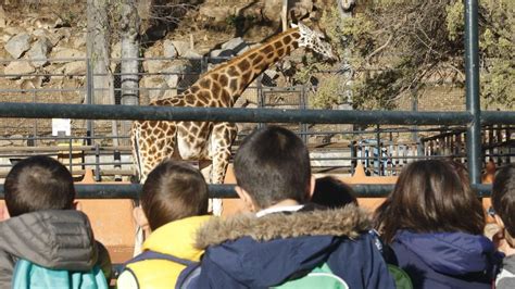 Equo insiste en que el zoo de Córdoba se centre en la fauna autóctona