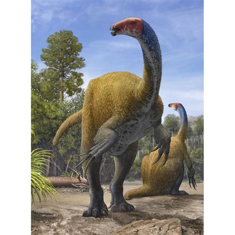 Erlikosaurus andrewsi dinosaurs in a prehistoric ...