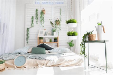 ¿Es bueno dormir con plantas en la habitación? — Mejor con ...