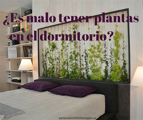 ¿Es peligroso dormir en una habitación con muchas plantas ...