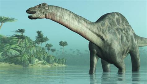 ¿Es posible clonar a los dinosaurios? | Vida | Peru21