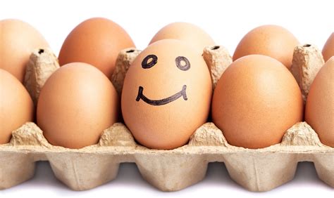 ¿Es verdad que las  gallinas felices  producen huevos mejores para la ...