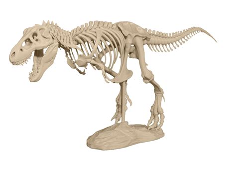 ESCANEADO 3D: Imprime tu esqueleto de dinosaurio
