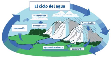 Escuela de Montaña en Casa Lección 18: El ciclo del agua ...