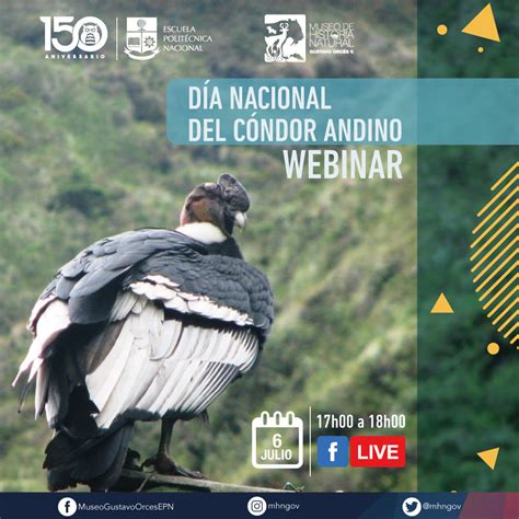 Escuela Politécnica Nacional | Día Nacional del Cóndor Andino