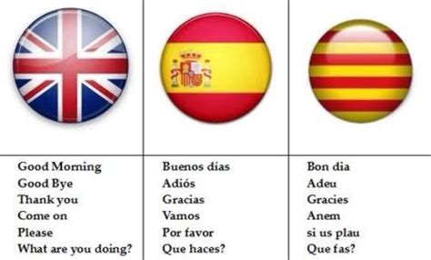 español   cátala | Idioma catalán, Idiomas, Catalán