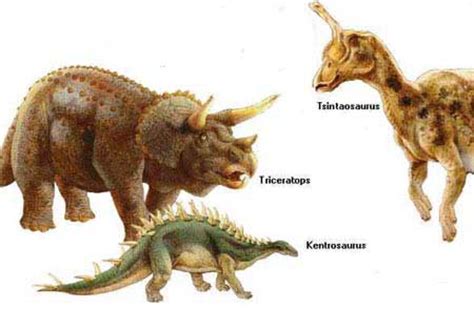 Especies de dinosaurios2   Taringa!