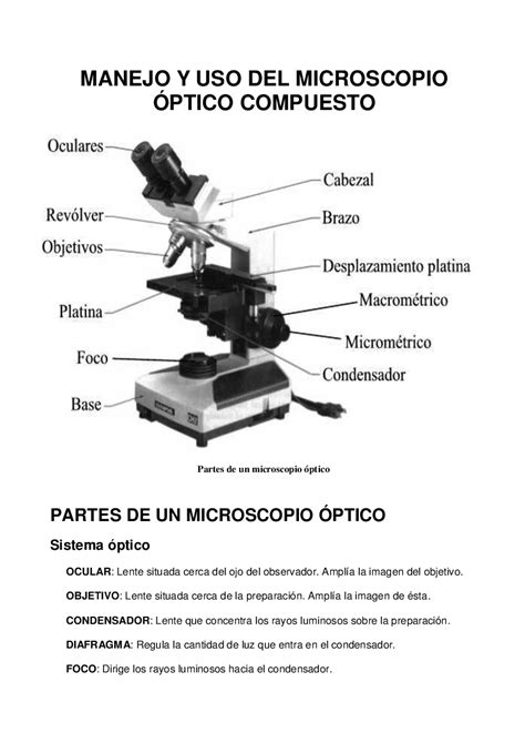 Especificaciones microscopios   pdf Docer.com.ar