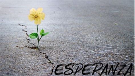Esperanza, el poema del cubano Alexis Valdés en medio de ...