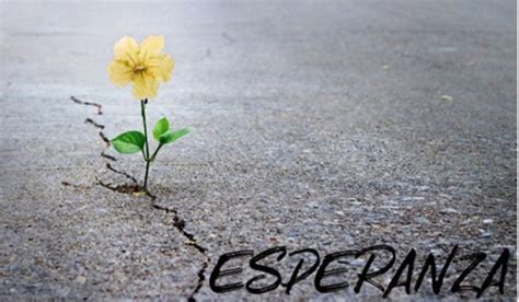 Esperanza , el poema del cubano Alexis Valdés en medio de ...