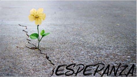 Esperanza , el poema que emociona al mundo en medio de la ...