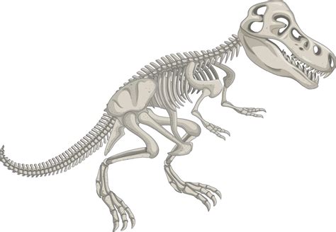 esqueleto de dinosaurio sobre fondo blanco 2097516 Vector en Vecteezy