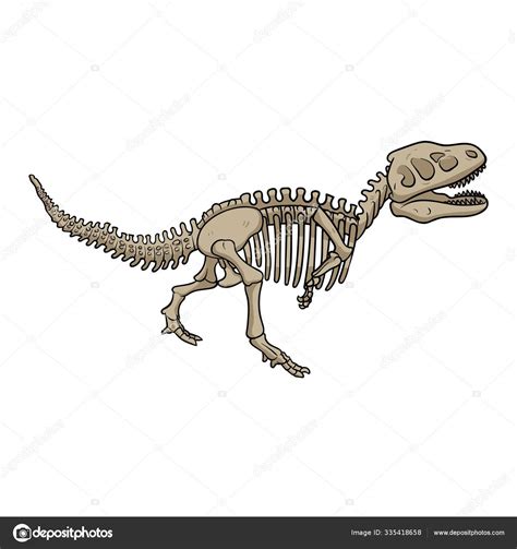 Esqueleto fósil de dinosaurio, estilo de dibujos animados. Ilustración ...