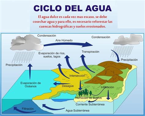Esquema del ciclo del agua   Imagui
