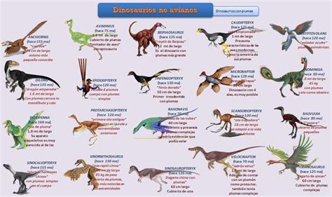 esquema dinosaurios no avianos.jpeg  948×562  | Dinosaur ...