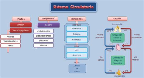 Esquemas, diagramas, gráficos y mapas conceptuales ...