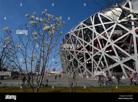 Estadio Olímpico de Beijing, el Estadio Nacional, Nido de Pájaro ...