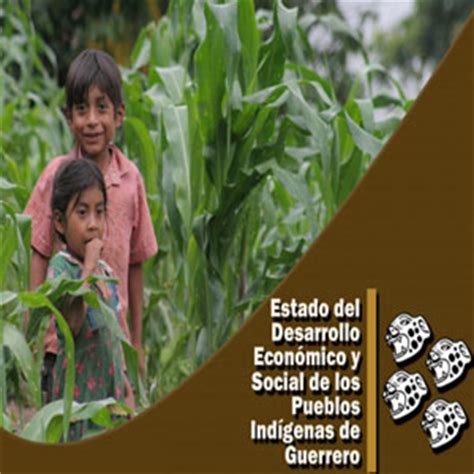 Estado del desarrollo económico y social de los pueblos indígenas de ...