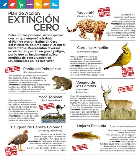 Estas son las siete especies en extinción en Argentina