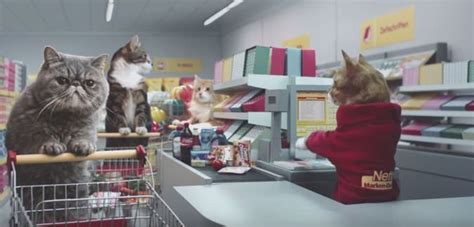 ¡Este comercial con gatos en una tienda de comestibles es ...