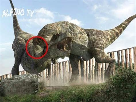 Este dinosaurio era el TERROR del Tiranosaurio Rex YouTube