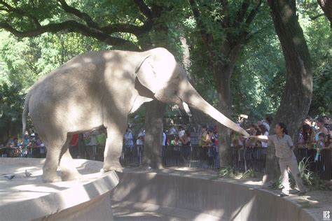 Éste es un parque zoológico de Buenos Aires, Argentina ...