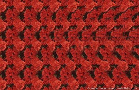 Estereogramas 3D Max Imagenes Ocultas en 3D : Rosas y Corazón