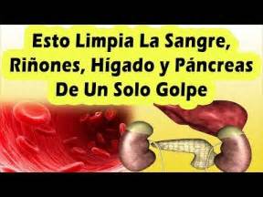 ESTO LIMPIA LA SANGRE, RIÑONES, HIGADO Y PANCREAS y Baja El Colesterol ...