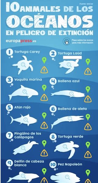 Estos son los 10 animales marinos que pueden desaparecer