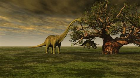 Estos son los dinosaurios que vivieron en México; medían más de 20 ...