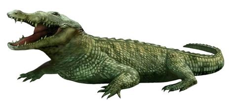 Estos son los dinosaurios y reptiles prehistóricos más grandes