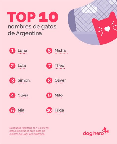Estos son los nombres de perros y gatos más elegidos por los argentinos