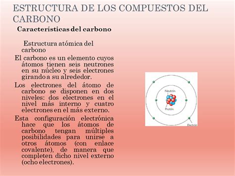 Estructura de los compuestos del carbono   Monografias.com