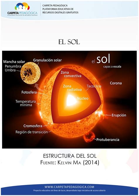 Estructura del Sol | Proyectos de ciencia, Sol, Manchas ...