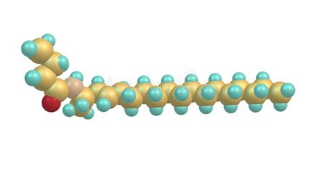 Estructura Molecular De La Ceramida Aislada En Blanco ...