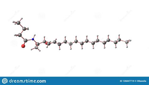 Estructura Molecular De La Ceramida Aislada En Blanco ...