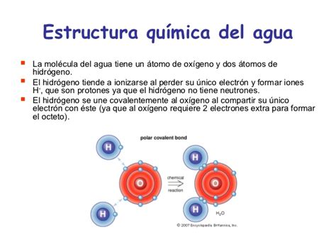 Estructura Molecular Del Agua Y Sus Propiedades Quimicas ...