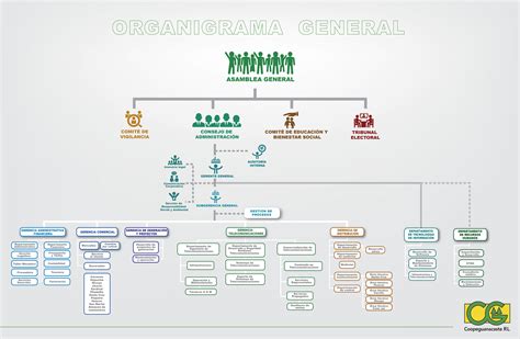 Estructura Organizacional   COOPEGUANACASTE, R.L.