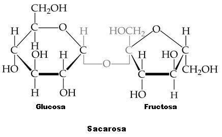 Estructura Química de Azúcares y Edulcorantes Artificiales ...