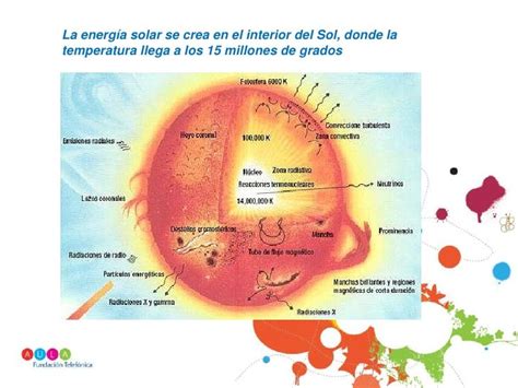 Estructura y componentes del sol