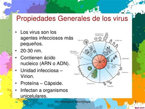 Estructura Y Morfologia De Los Virus   2020 idea e inspiración
