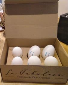 Estuche de 6 huevos de oca  precio por huevo  estuche para ...