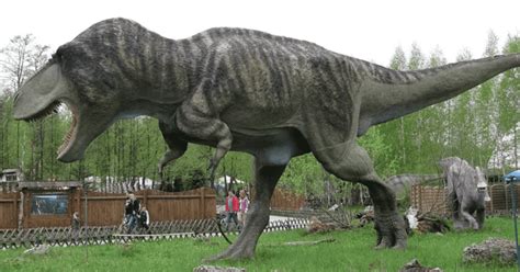 Estudio apunta a que el Tyrannosaurus rex no era capaz de correr | EL ...