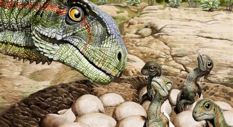 Estudio asegura que los primeros dinosaurios ponían huevos de cáscara ...