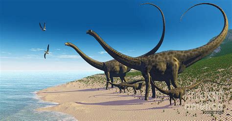 Estudio revela que los dinosaurios diplocoideos se distribuyeron por la ...