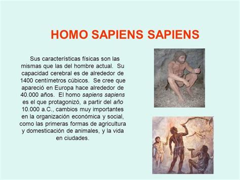 ETAPAS DEL PROCESO DE HOMINIZACION DEL HOMBRE timeline ...
