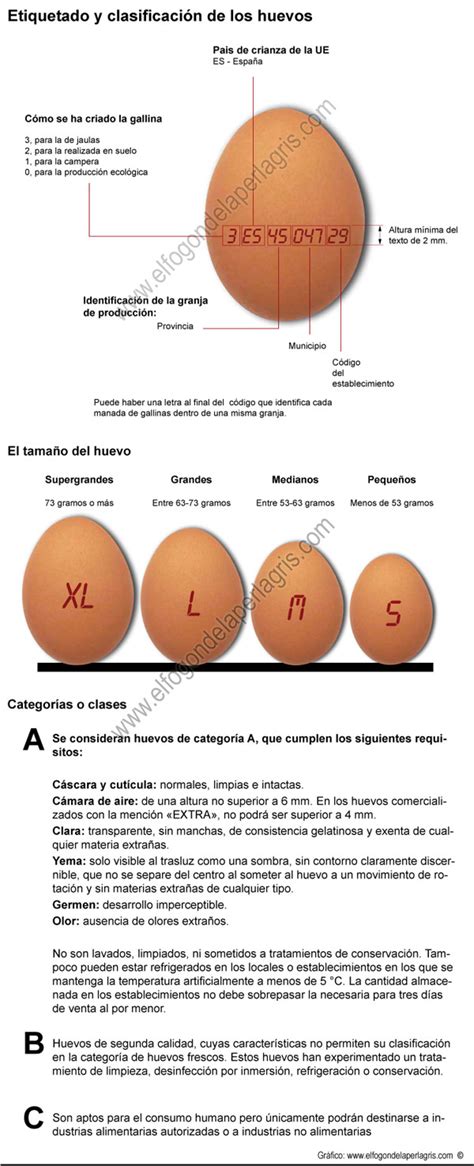 Etiquetado y clasificación de los huevos | El Fogón de la Perla Gris