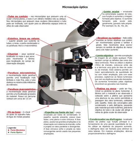 Eu amo Byologia   Profª Elisa: Microscópio Óptico
