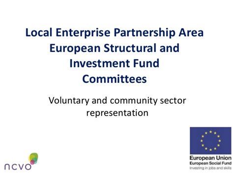 European Structural and Investment Fund Committees