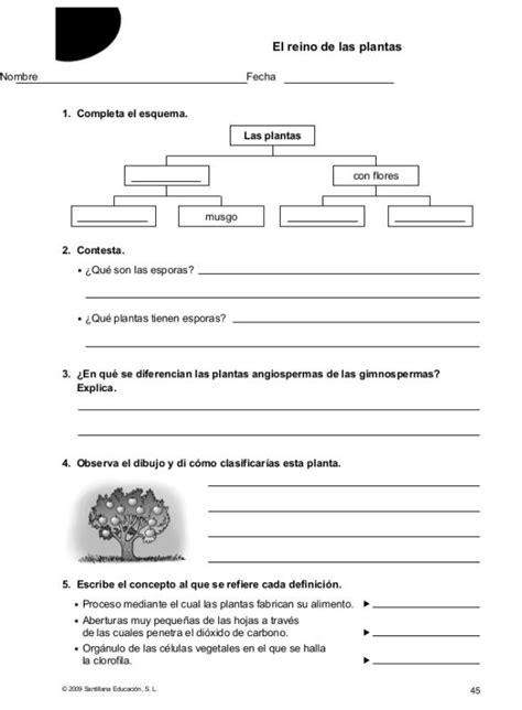 evaluaciones sm savia 5 primaria   OurClipart